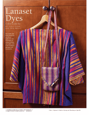 Long Thread Media Books Spin-Off Presents: A Spinner's Guide to Dyeing and Blending: eBook Printed Copy