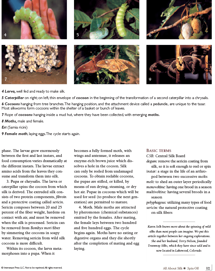 Long Thread Media Books Spin-Off Presents: All About Silk: eBook Printed Copy