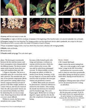 Long Thread Media Books Spin-Off Presents: All About Silk: eBook Printed Copy