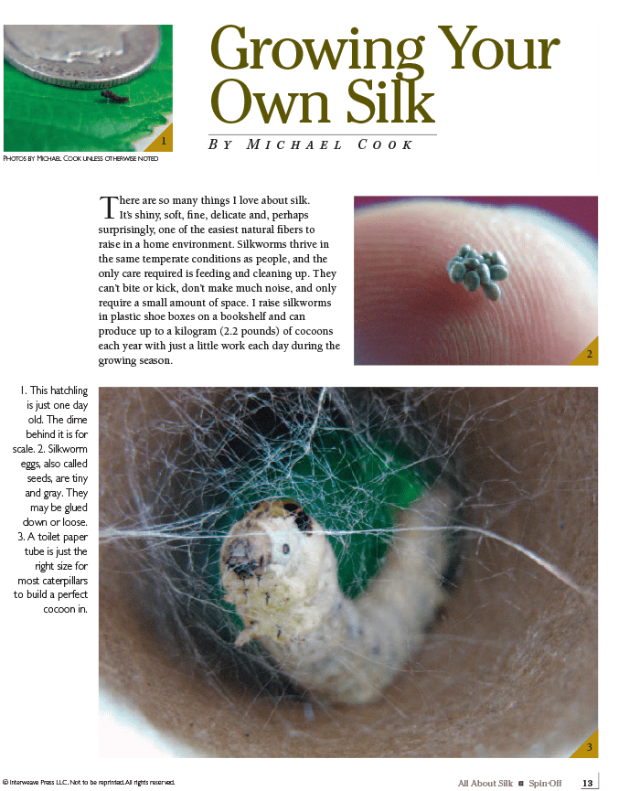 Long Thread Media Books Spin-Off Presents: All About Silk: eBook Printed Copy