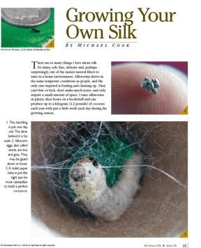 Long Thread Media Books Spin-Off Presents: All About Silk: eBook Printed Copy