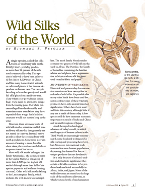 Long Thread Media Books Spin-Off Presents: All About Silk: eBook Printed Copy
