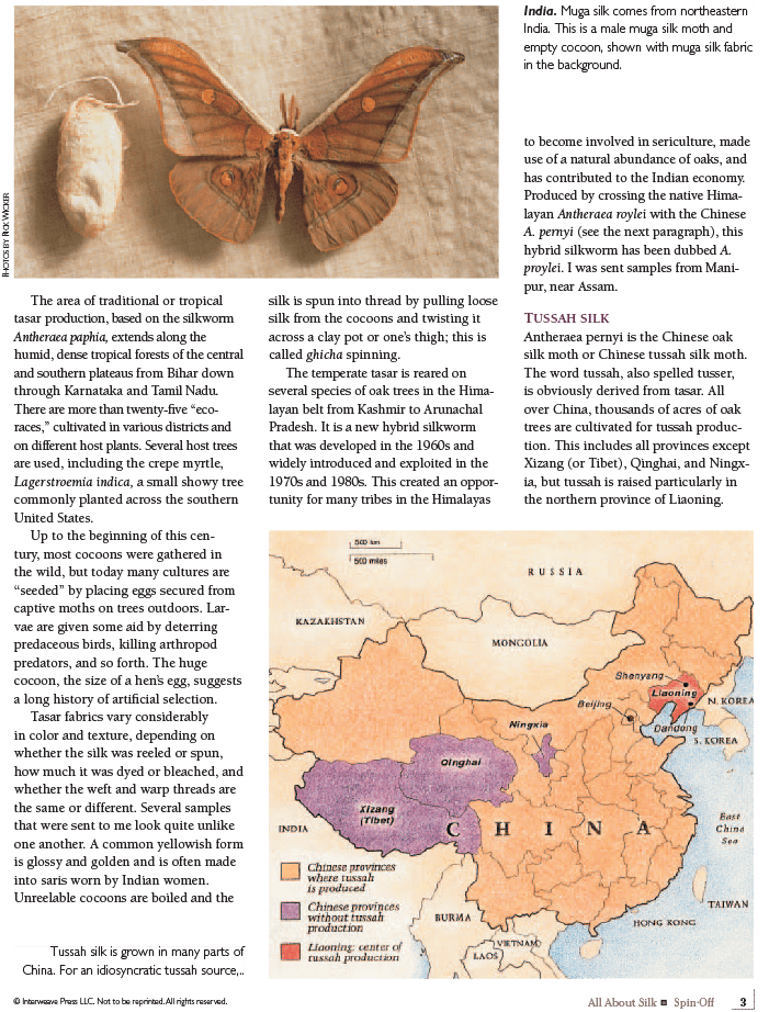 Long Thread Media Books Spin-Off Presents: All About Silk: eBook Printed Copy