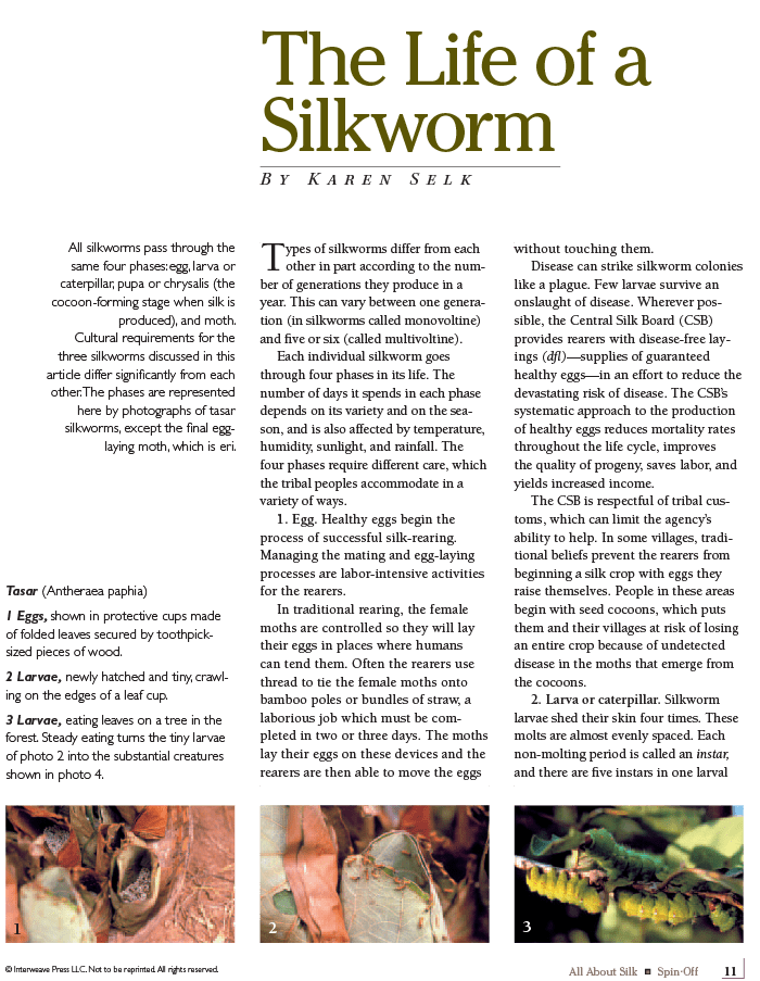 Long Thread Media Books Spin-Off Presents: All About Silk: eBook Printed Copy