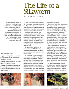 Long Thread Media Books Spin-Off Presents: All About Silk: eBook Printed Copy