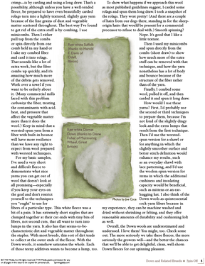 Long Thread Media Books Spin Off Presents: Down and Related Breeds - eBook Printed Copy