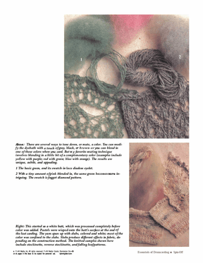 Long Thread Media Books Spin-Off Presents: Essentials of Drum carding: eBook Printed Copy