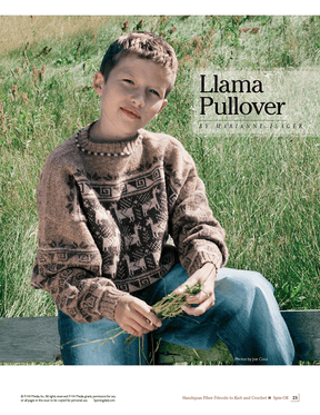 Long Thread Media Books Spin-Off Presents: Handwoven, Fiber Friends to Knit and Crochet (Printed Version)