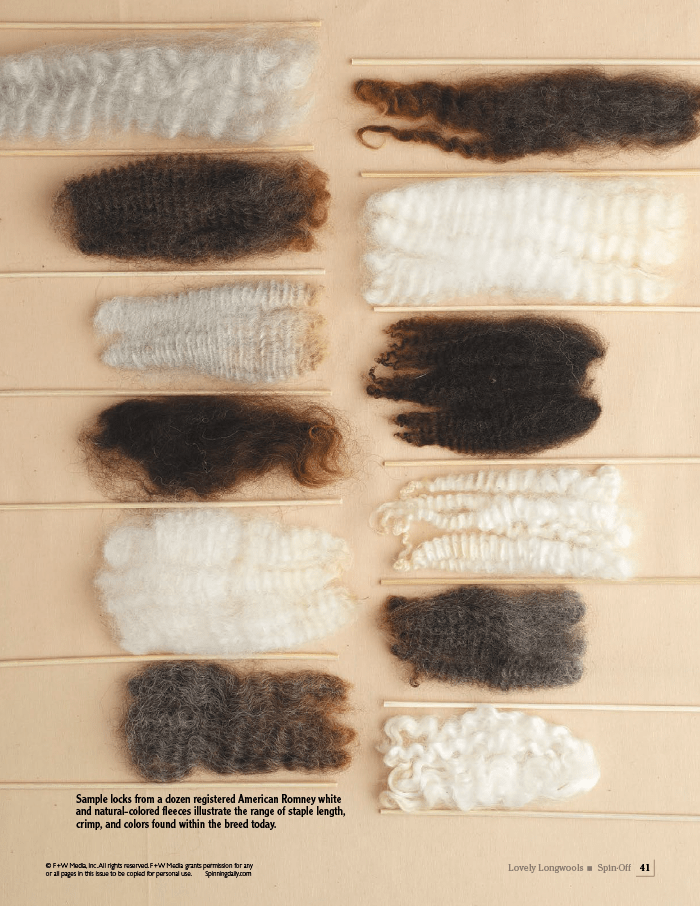 Long Thread Media Books Spin Off Presents: Lovely Longwools - eBook Printed Copy