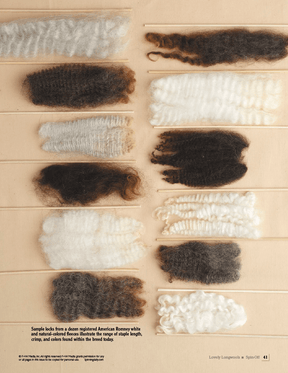 Long Thread Media Books Spin Off Presents: Lovely Longwools - eBook Printed Copy