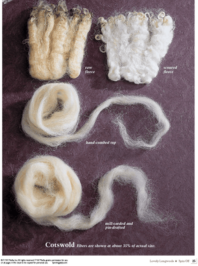 Long Thread Media Books Spin Off Presents: Lovely Longwools - eBook Printed Copy