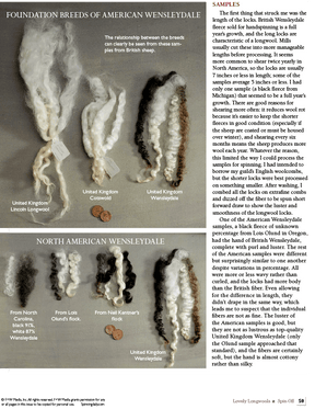 Long Thread Media Books Spin Off Presents: Lovely Longwools - eBook Printed Copy