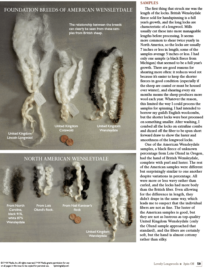 Long Thread Media Books Spin Off Presents: Lovely Longwools - eBook Printed Copy