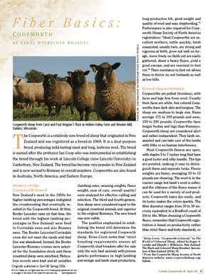 Long Thread Media Books Spin Off Presents: Lovely Longwools - eBook Printed Copy