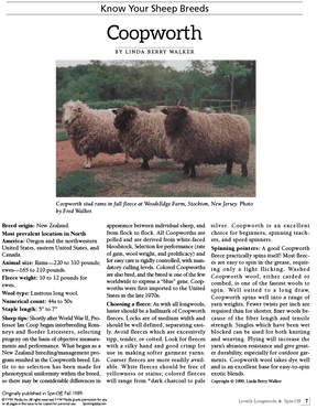 Long Thread Media Books Spin Off Presents: Lovely Longwools - eBook Printed Copy