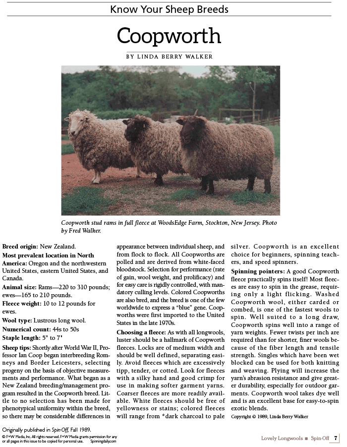 Long Thread Media Books Spin Off Presents: Lovely Longwools - eBook Printed Copy