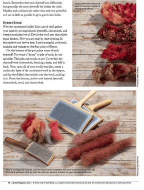 Long Thread Media Books Spin Off Presents: Natural Dye Series: Easy Peasy Natural Dyeing – eBook Printed Copy