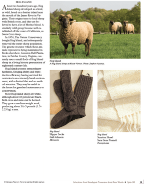 Long Thread Media Books Spin Off Presents: Selections from Handspun - Treasures from Rare Wools - eBook Printed Copy