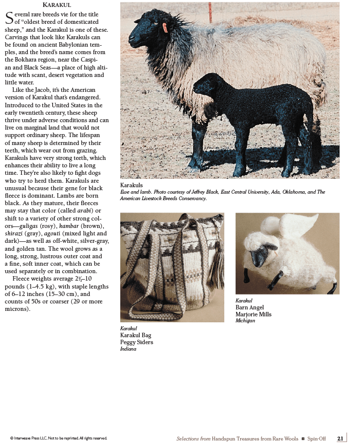Long Thread Media Books Spin Off Presents: Selections from Handspun - Treasures from Rare Wools - eBook Printed Copy