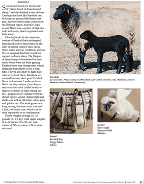 Long Thread Media Books Spin Off Presents: Selections from Handspun - Treasures from Rare Wools - eBook Printed Copy