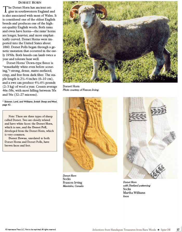 Long Thread Media Books Spin Off Presents: Selections from Handspun - Treasures from Rare Wools - eBook Printed Copy