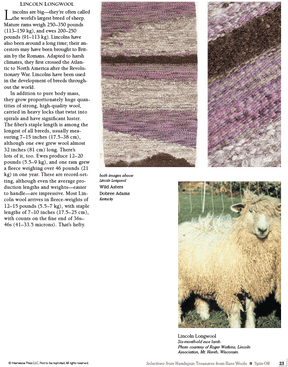 Long Thread Media Books Spin Off Presents: Selections from Handspun - Treasures from Rare Wools - eBook Printed Copy