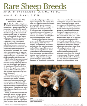 Long Thread Media Books Spin Off Presents: Selections from Handspun - Treasures from Rare Wools - eBook Printed Copy