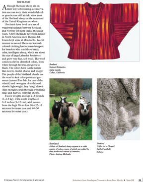 Long Thread Media Books Spin Off Presents: Selections from Handspun - Treasures from Rare Wools - eBook Printed Copy
