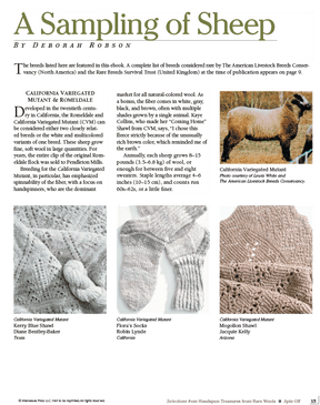 Long Thread Media Books Spin Off Presents: Selections from Handspun - Treasures from Rare Wools - eBook Printed Copy