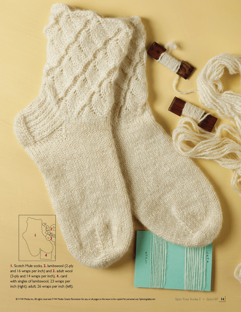 Long Thread Media Books Spin-Off Presents: Spin Your Socks 2: eBook Printed Copy