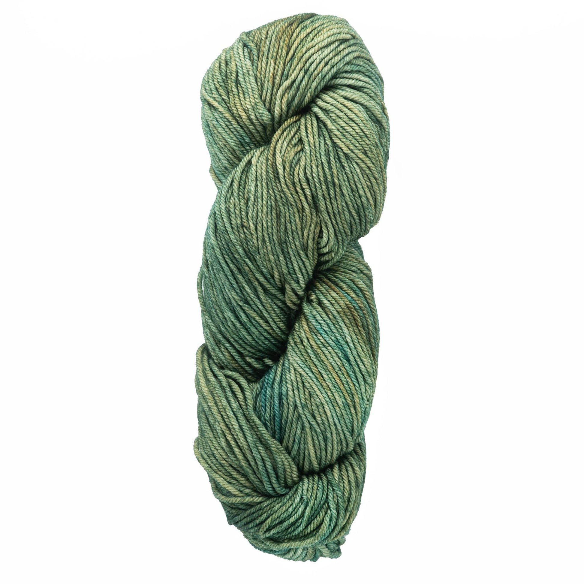 Malabrigo Yarn Yarn Fresco Y Seco Malabrigo Rios