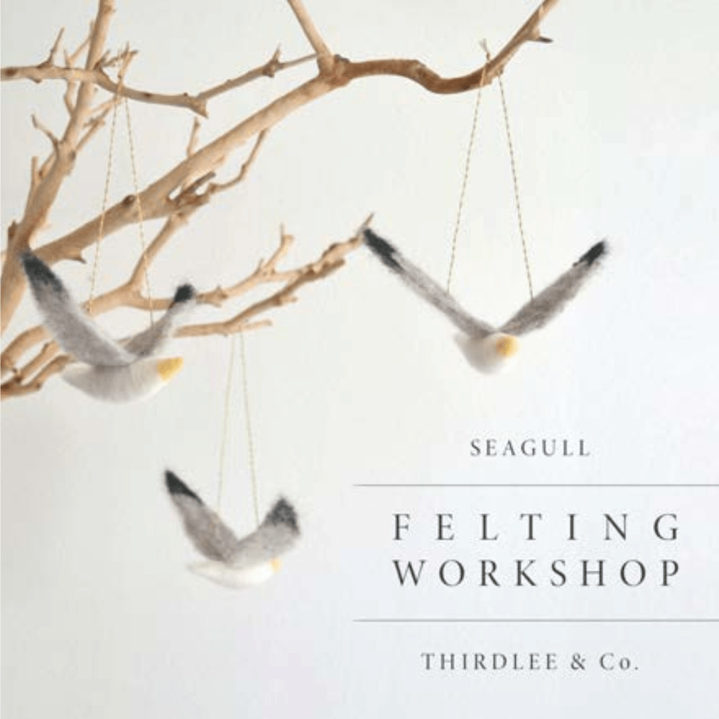 Needle Felting: Seagull with Michelle Provençal