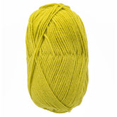 Plymouth Yarn Co. Yarn Sour Apple Plymouth Encore Worsted Yarn
