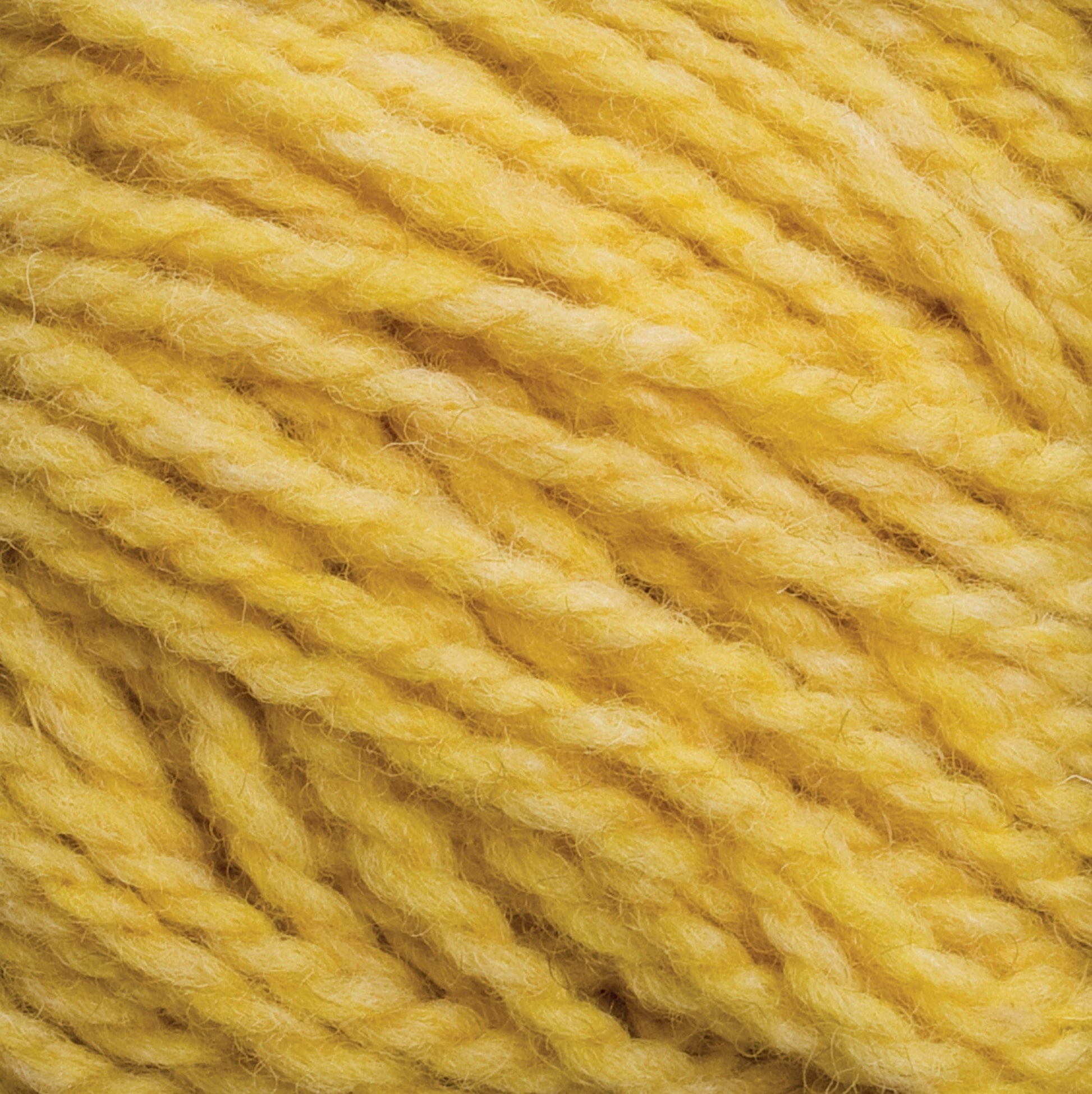 Harrisville Designs Yarn Cornsilk Harrisville Shetland Yarn - Unwashed Cones