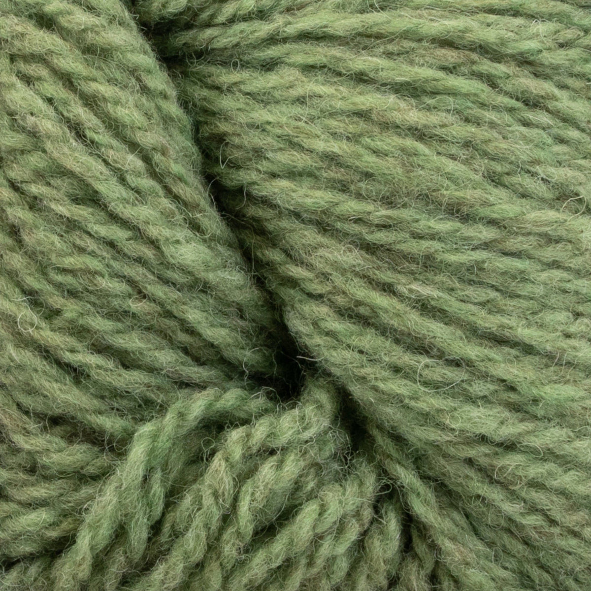 Knitting Fever / Euro Yarns Yarn Patagonia Organic Merino by Juniper Moon Farm