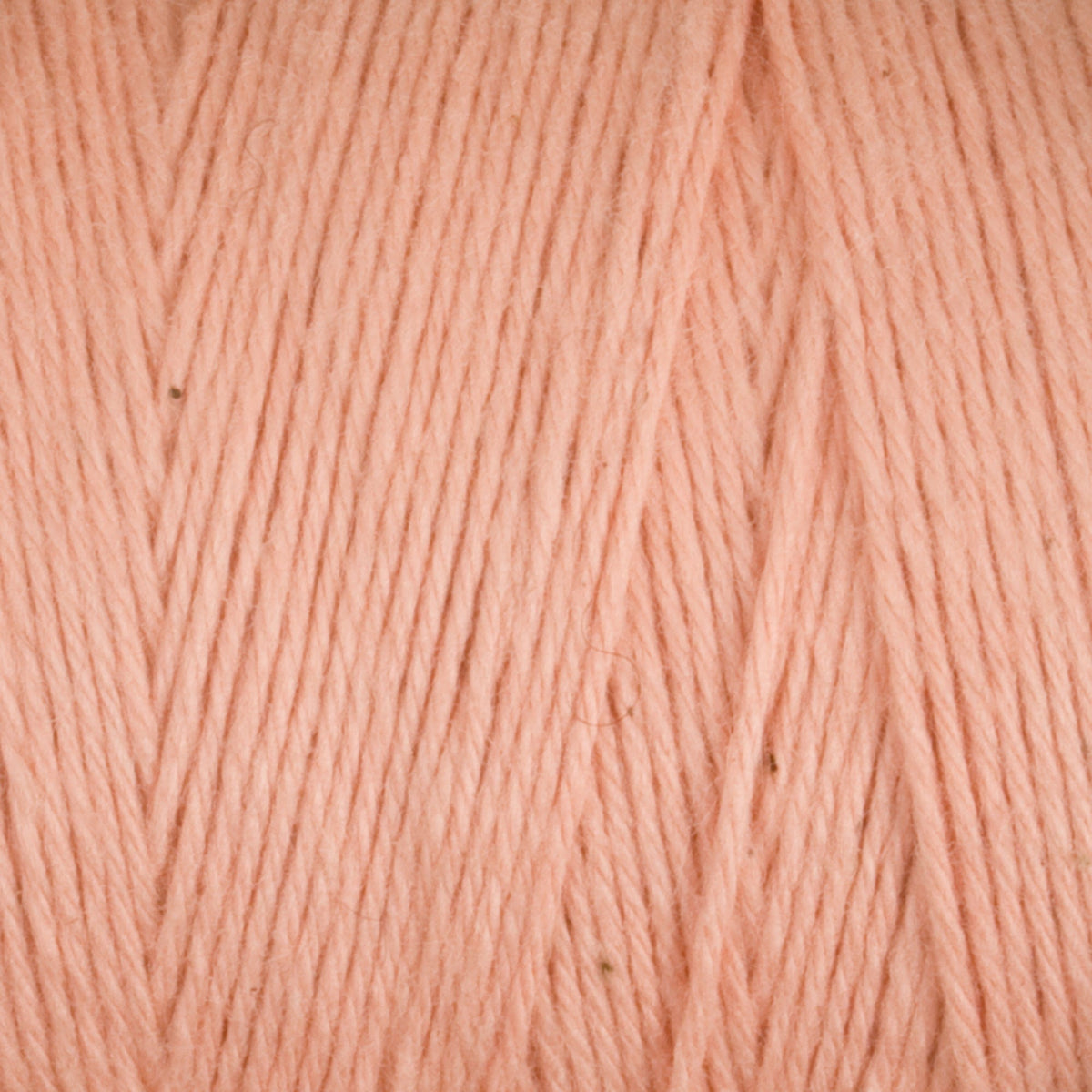 Maurice Brassard Yarn Cotton 8/8 Carpet Warp