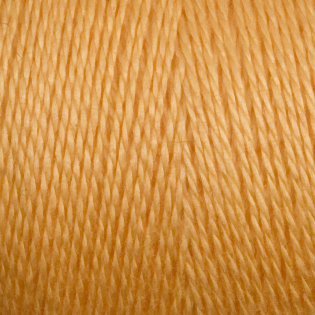 Close-up of Maurice Brassard 8/2 Tencel Yarn | Mini-cone in light orange-tan, highlighting its fine texture and tightly twisted strands—perfect for weaving projects.