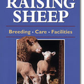 Workman Publishing - Storey Books Storey's Guide to Raising Sheep( revised edition)
