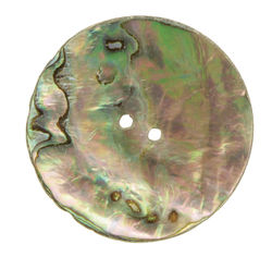 Mexican Abalone 78quot Button