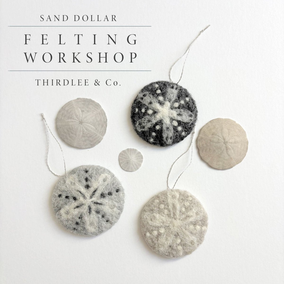 Three felted sand dollar ornaments and three real sand dollars are arranged on a white background. Text reads: Needle Felting Class: Sand Dollars with Michelle Provençal (September 5th), Halcyon Yarn. Discover how to craft your own needle felt sand dollars in this creative felting workshop.