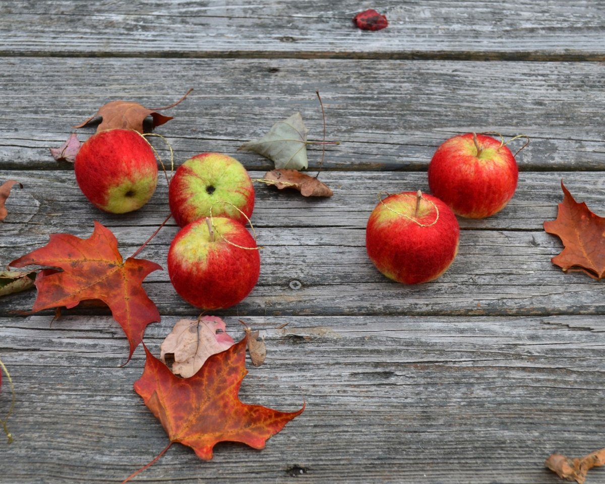 Felted wool apples, created in the Needle Felting Class: Apples with Michelle Provençal (September 12th) by Halcyon Yarn, are scattered among autumn leaves on a weathered wooden surface. The arrangement evokes a rustic fall harvest scene with natural charm.