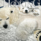 Ampry Publishing Magazines Rug Hooking Magazine Nov/Dec 2023