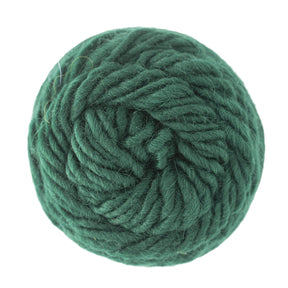 Brown Sheep Yarn Deep Pine Lamb's Pride Worsted Yarn