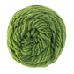 Brown Sheep Yarn Kiwi Lamb's Pride Worsted Yarn