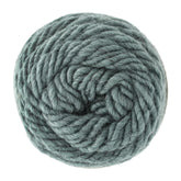 Brown Sheep Yarn Smoky Sage Lamb's Pride Worsted Yarn