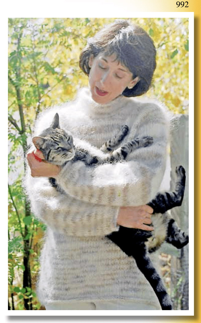 Wearing the Knitting Pure & Simple Bulky Neck Down Pullover #992, a woman holds a gray tabby cat outdoors, smiling at it with autumn foliage in the background.