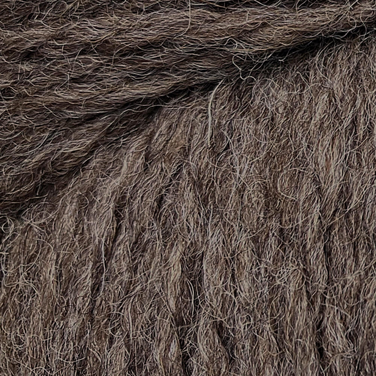 Cascade Yarns Yarn Cascade Eco and Cascade Eco Plus Wool Yarn