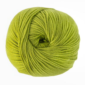 Cascade Yarns Yarn Citron Cascade 220 Superwash Wool Yarn
