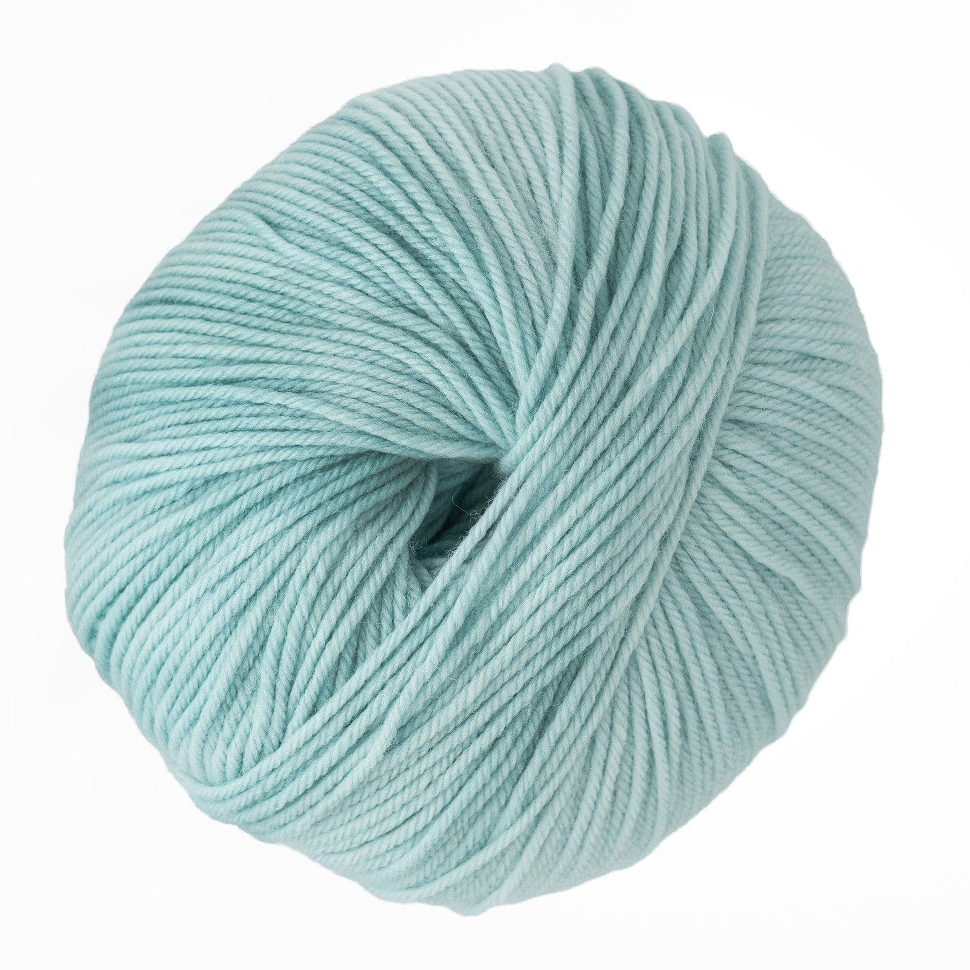 Cascade Yarns Yarn Mint Cascade 220 Superwash Wool Yarn
