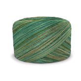 Circulo Yarn Rainforest Whoopee Multicolor Cotton Yarn